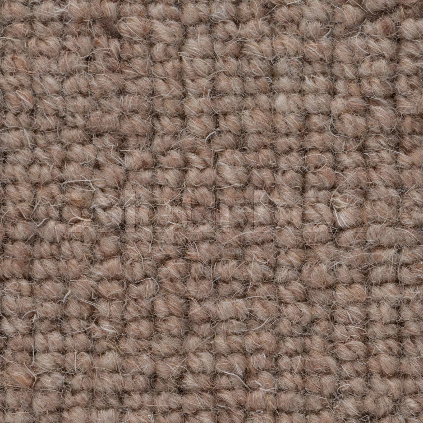 Picture of brown carpeting